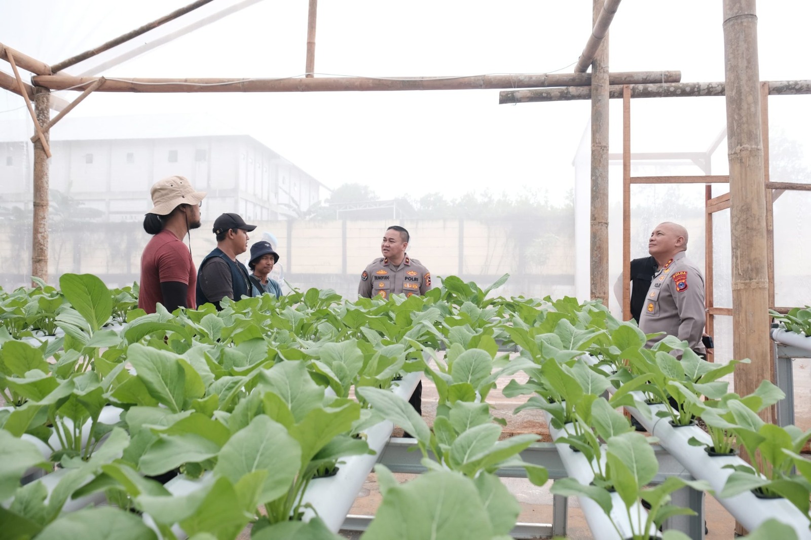 karo penmas divhumas polri berikan apresiasi setelah tinjau green house polda kalsel dalam mendukung katahanan pangan 83925
