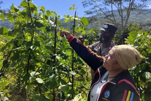 kasuari programme an innovation from papua police for farming groups 41226