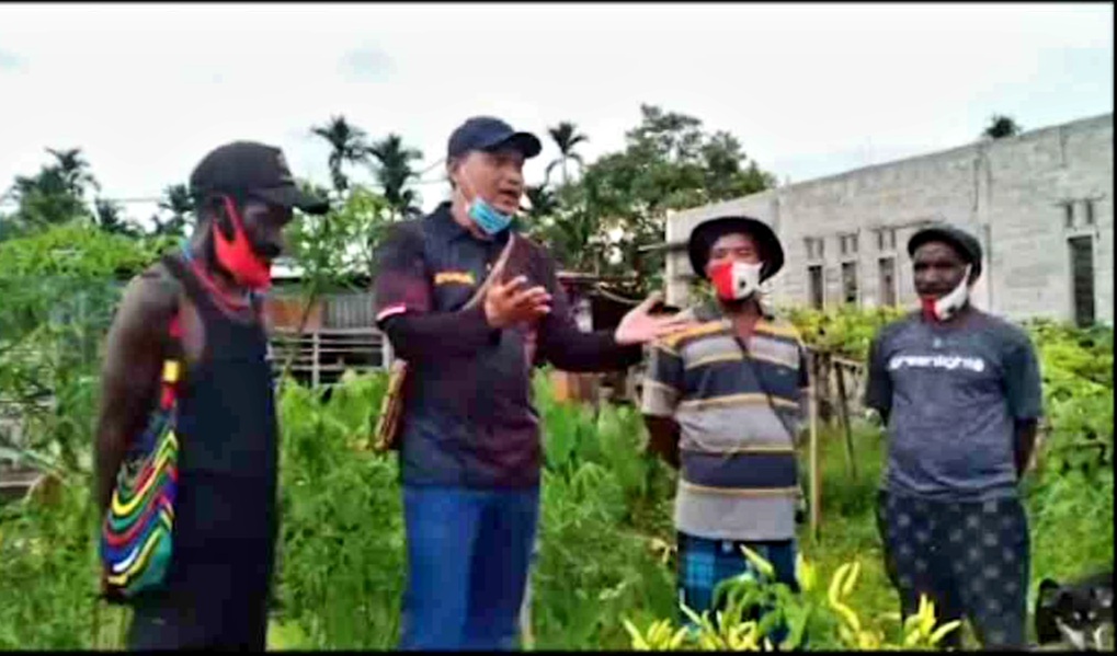 liputan tim divhumas polri saksikan keberhasilan petani binaan binmas noken di perbatasan timika nabire 30678
