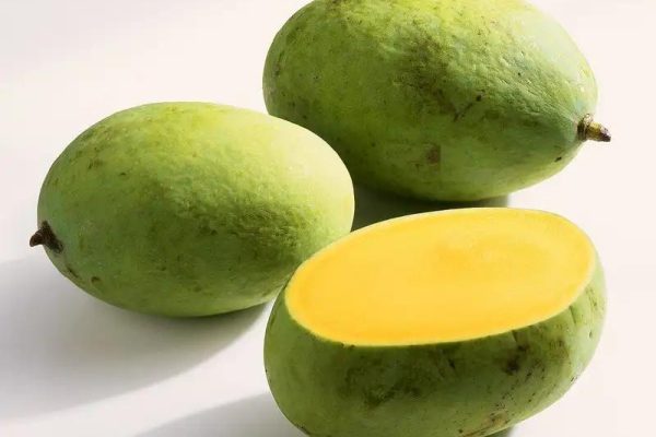 mangga kweni ini sederet manfaatnya bagi tubuh 84586