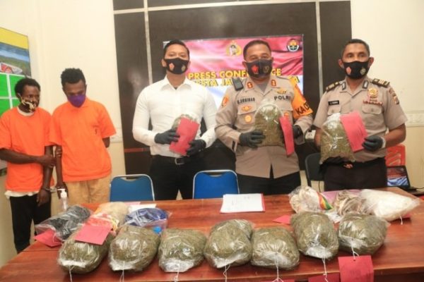 marijuana of papua new guinea dominated the narcotics expose in jayapura city 42961