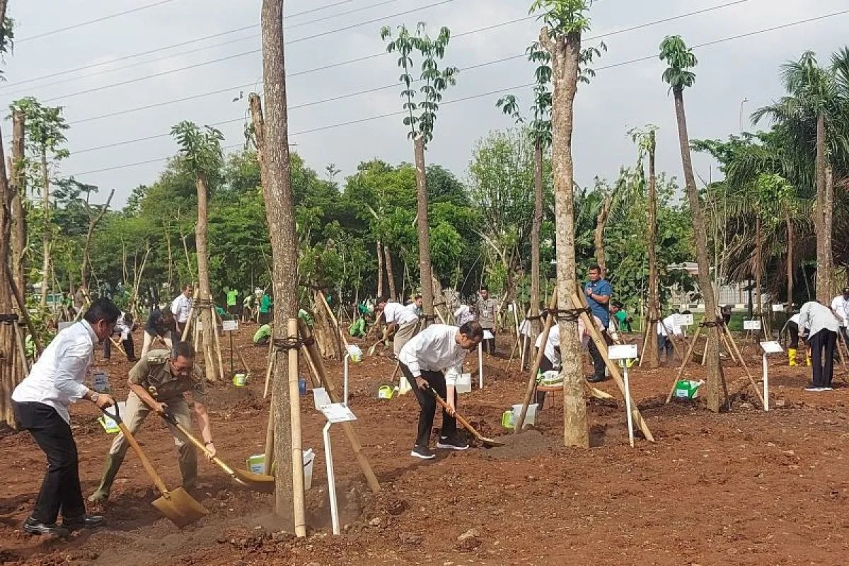 masuk musim hujan presiden jokowi serukan gerakan tanam pohon serentak 66881