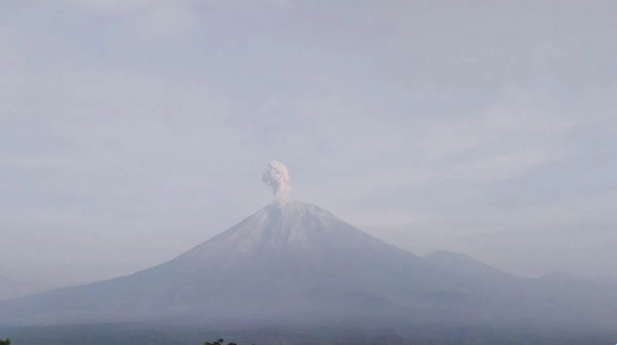 masyarakat diminta waspada gunung semeru erupsi enam kali pagi ini 74410