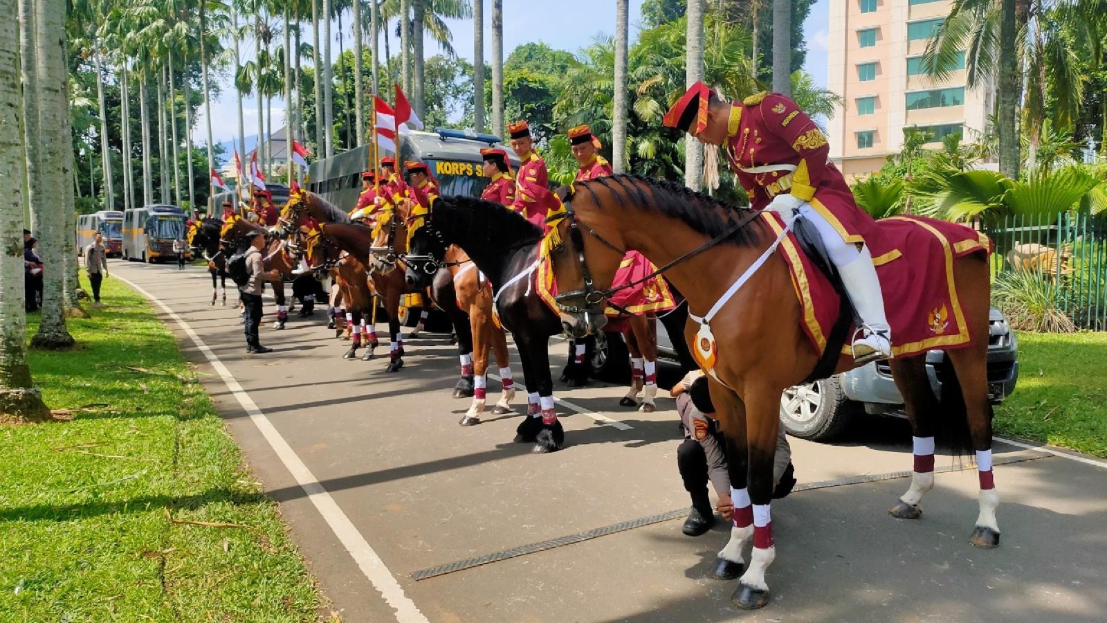 mengenal pasukan berkuda yang sukses kawal kunjungan presiden erdogan di istana bogor 84155