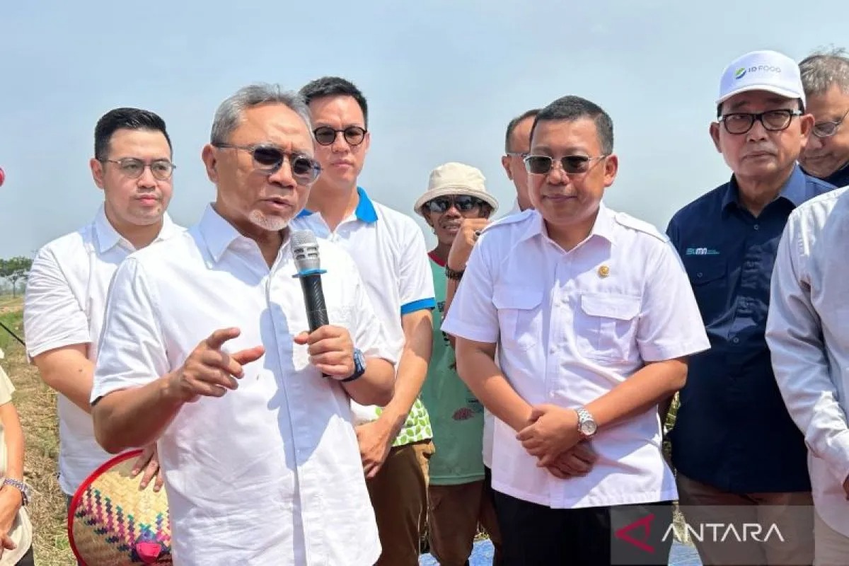 menko pangan siapkan sejumlah strategi untuk indonesia capai target swasembada pangan 80442