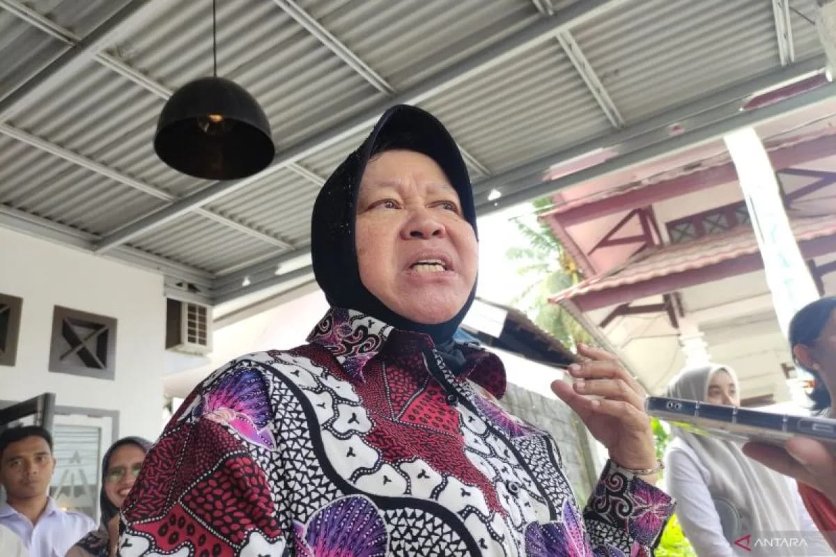 mensos kirim tim untuk petakan mitigasi bencana megathrust di mentawai 77898