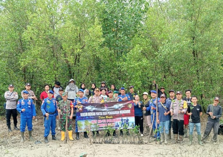 menyambut hut polairud ke 73 sat polair polres bengkayang tanam 500 bibit mangrove 66637