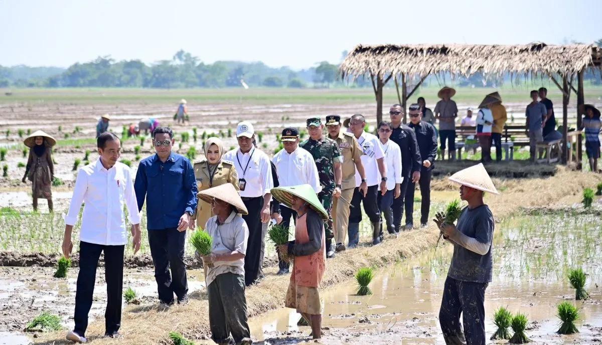 musim hujan tiba presiden jokowi dorong petani tanam padi 67539