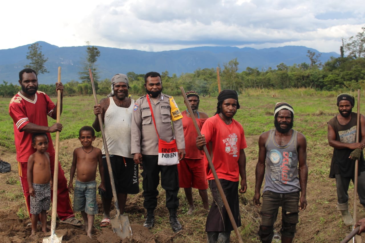 noken community development unit binmas noken opens new farmland for farmer groups in wamena district 38869