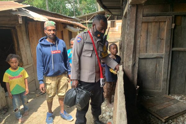 on kasuari programme noken community development unit visited pig farm of honelama dua village 41410