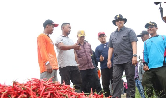 pantau kondisi inflasi bersama pemda kapolda sambangi petani cabai di muaro jambi 49643