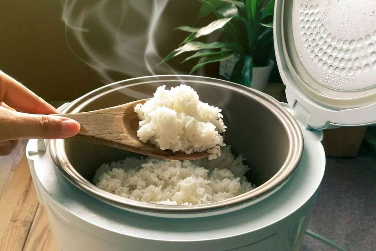 pemerintah mulai bagikan rice cooker gratis tahap awal ke 53 ribu rumah tangga 67536