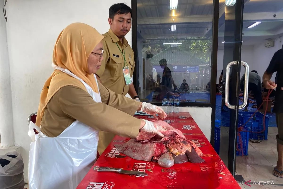periksa kondisi jeroan pemprov dki pastikan keamanan daging kurban sebelum dikonsumsi 75357