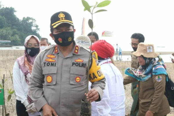 peringati hutan mangrove internasional kapolda bersama forkopimda sumbar gelar penanaman mangrove serentak 34853