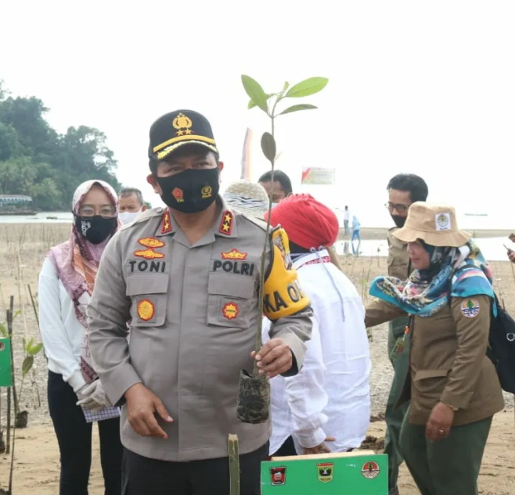 peringati hutan mangrove internasional kapolda bersama forkopimda sumbar gelar penanaman mangrove serentak 34853
