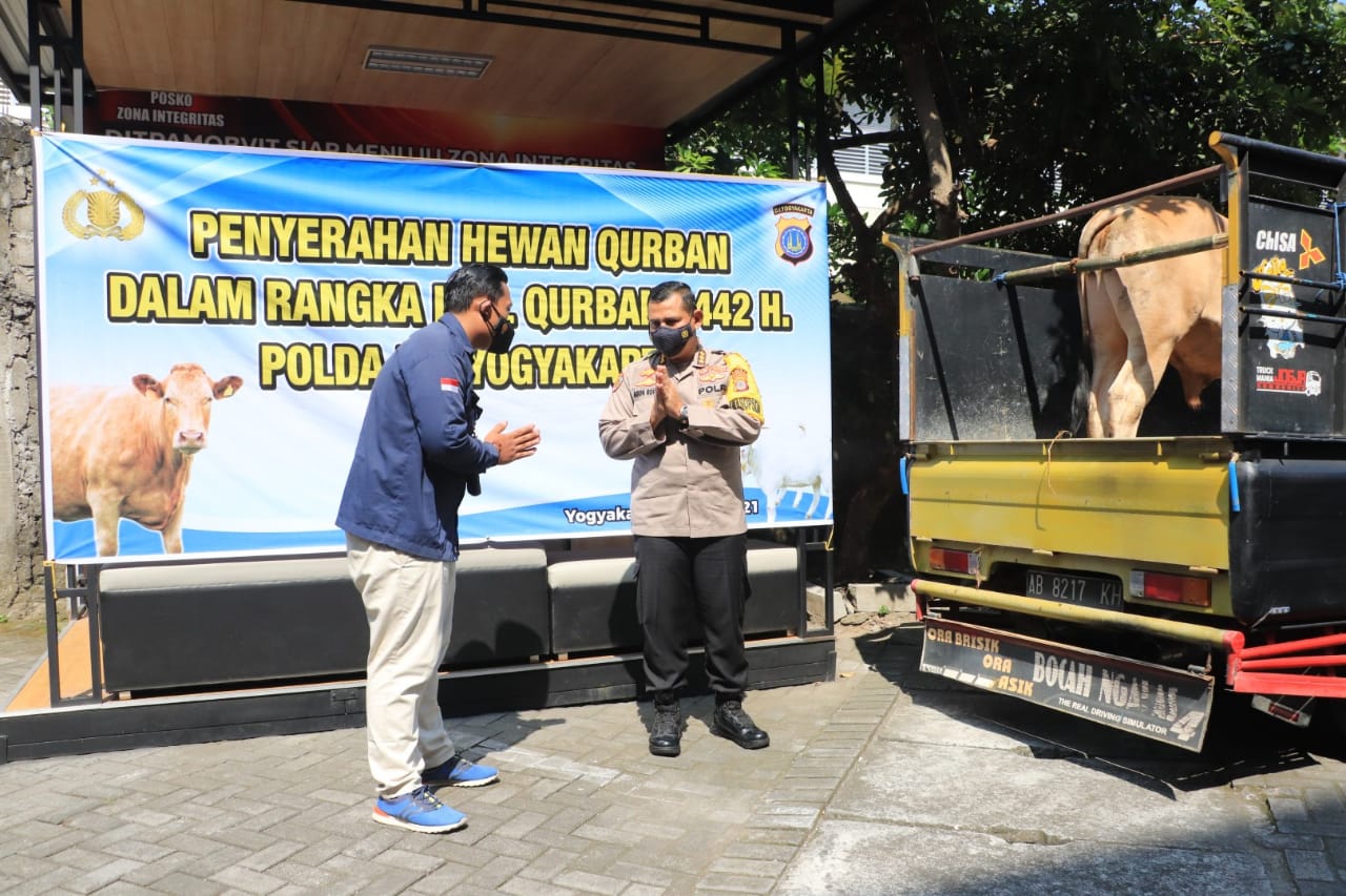 peringati idul adha 1442 h polda diy berikan belasan sapi dan kambing untuk di qurbankan 26426