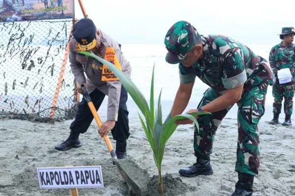 perkuat sinergitas kapolda papua dan pangdam xvii cenderawasih pimpin aksi penanaman ribuan pohon kelapa 69394