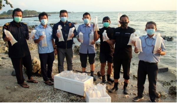 polda banten berhasil amankan 12 117 benih lobster senilai rp 720 juta 16141