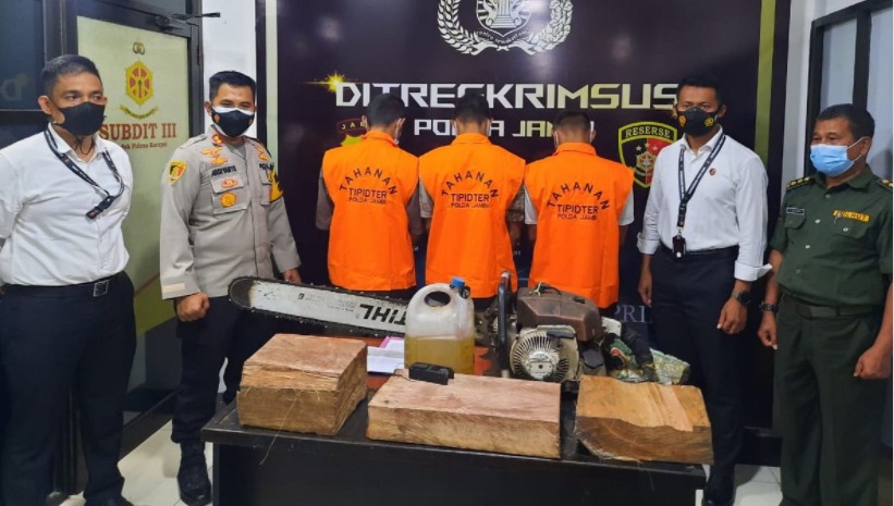 polda jambi bersama polres muaro jambi berhasil tangkap tiga pelaku illegal loging 16288