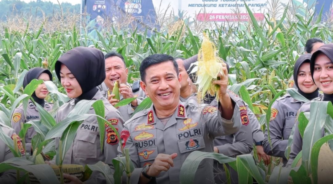 polda jambi gelar panen raya jagung perdana tahap i 84691