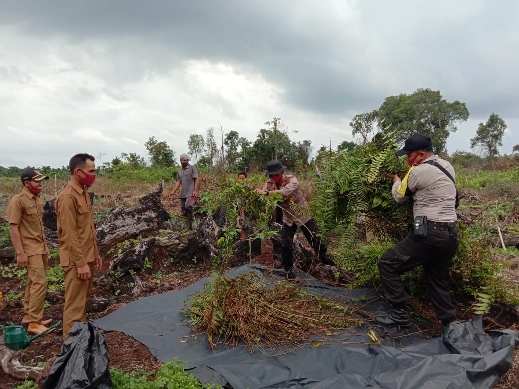 polda jambi perketat patroli antisipasi terjadinya karhutla 12841