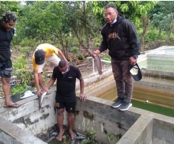 polda jateng beri pelatihan ternak lele untuk mahasiswa papua 19398