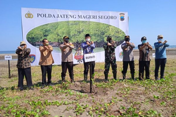 polda jateng mageri segoro penanaman 3600 bibit mangrove di pantai indah kemangi desa jungsemi 24586