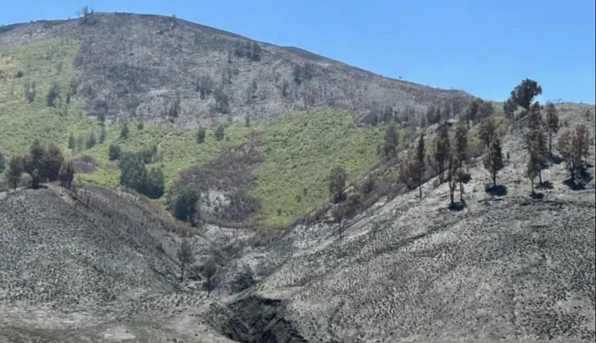 polda jatim limpahkan berkas tersangka kasus kebakaran hutan bromo 64356