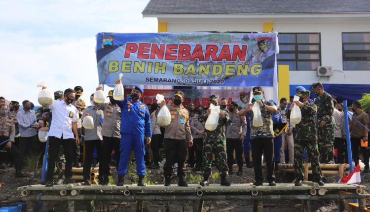 polda jawa tengah panen raya capai 54 ton 11256