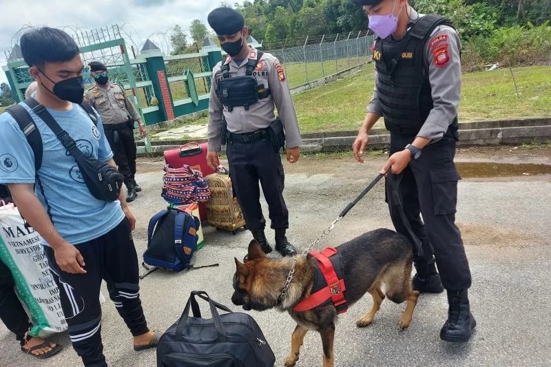 polda kalbar patroli gunakan anjing pelacak di perbatasan 21225