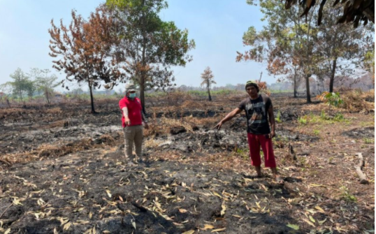 polda kalbar tangkap tersangka pembakar lahan di pontianak 16014