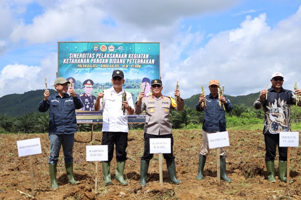 polda kalsel berasama binda kalsel ulm dan pt agm gelar kegiatan di bidang peternakan dukung asta cita presiden ri 82821