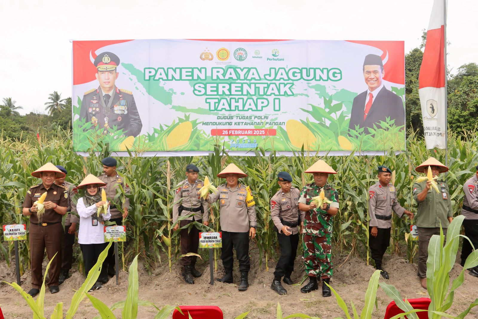 polda kalteng panen raya jagung perdana di lahan 1 hektare 84706