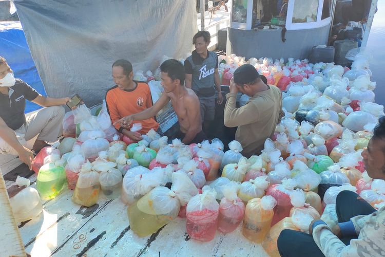 polda kaltim bekuk nelayan penangkap 860 ikan hias dilindungi 24826