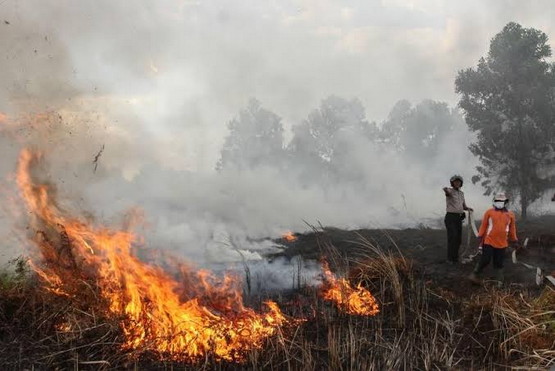 polda riau berhasil tangani 17 kasus karhutla dan tetapkan 19 tersangka 16366