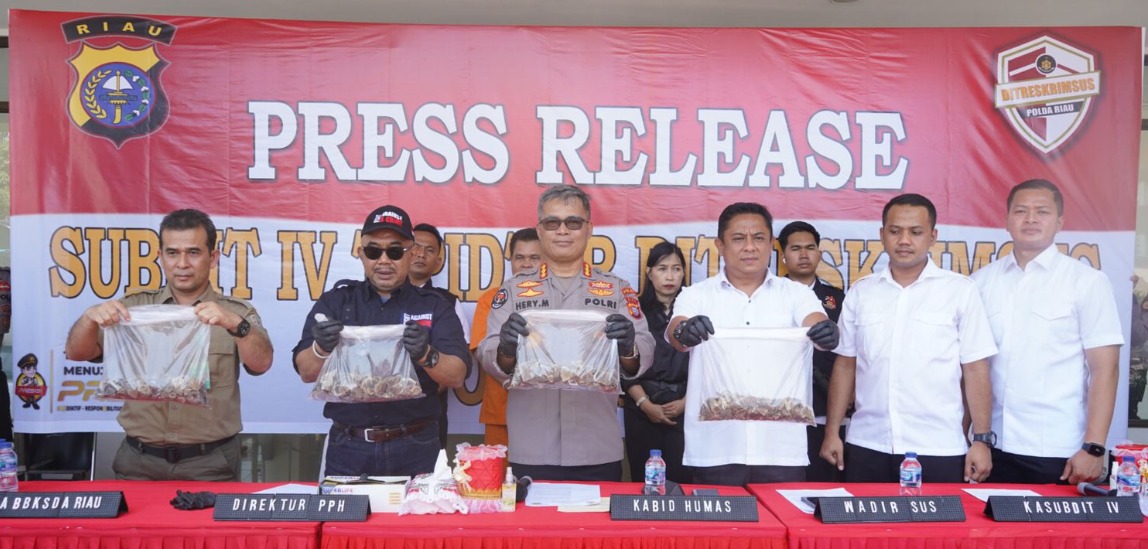 polda riau gagalkan penyelundupan 41 kilogram sisik trenggiling 64007
