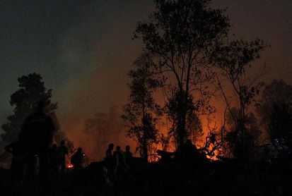 polda riau tetapkan tujuh tersangka pembakaran lahan 16033