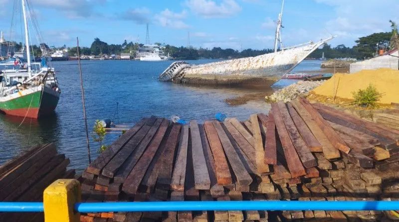 polda sultra ungkap kasus ilegal logging 60814