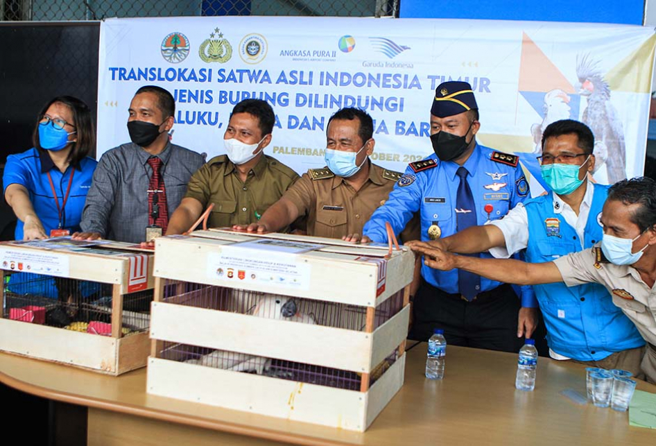 polda sumsel berhasil gagalkan penyelundupan 114 satwa dilindungi senilai rp 13 miliar 16476