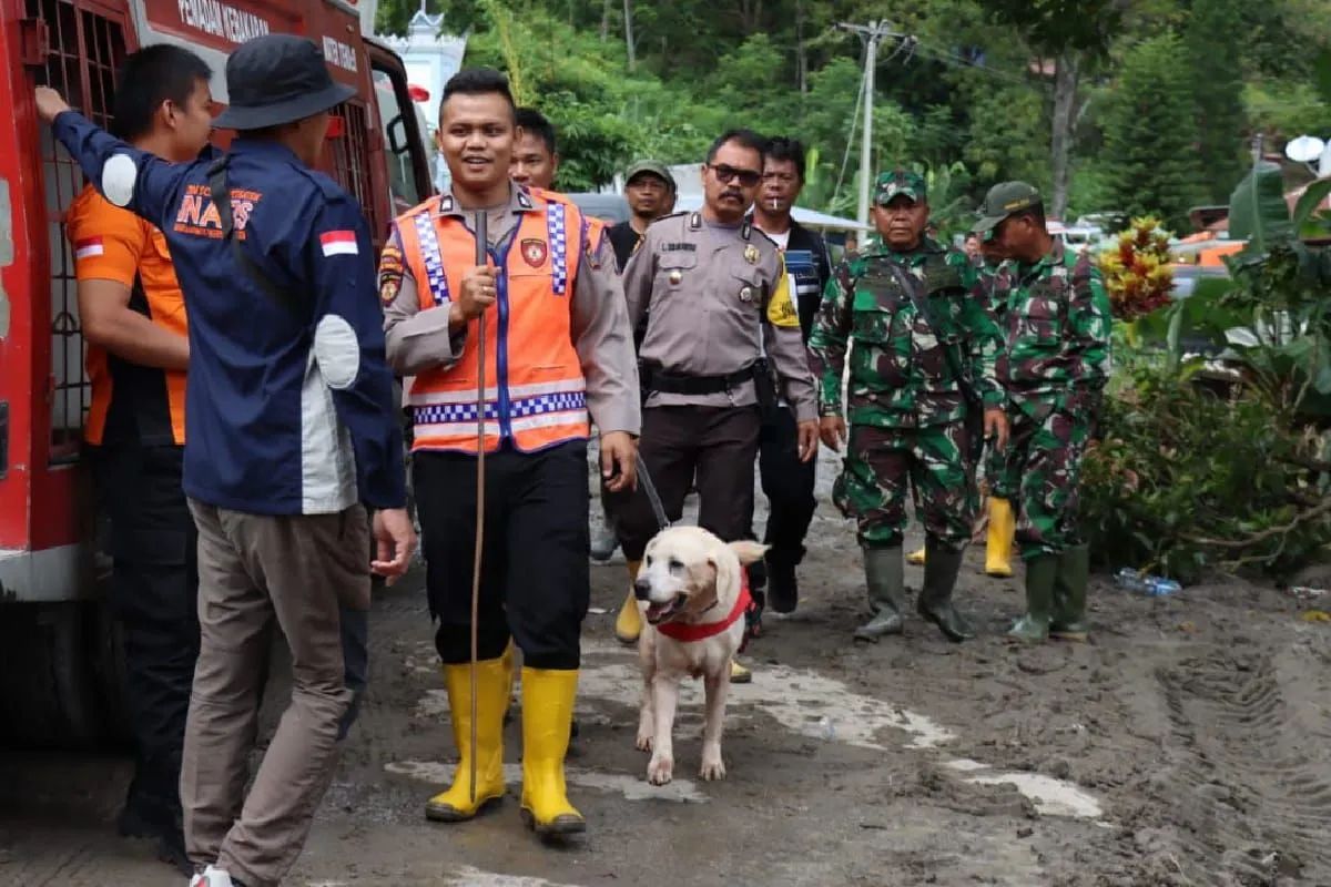 polda sumut kerahkan anjing pelacak untuk bantu korban banjir bandang dan longsor di humbahas 67081