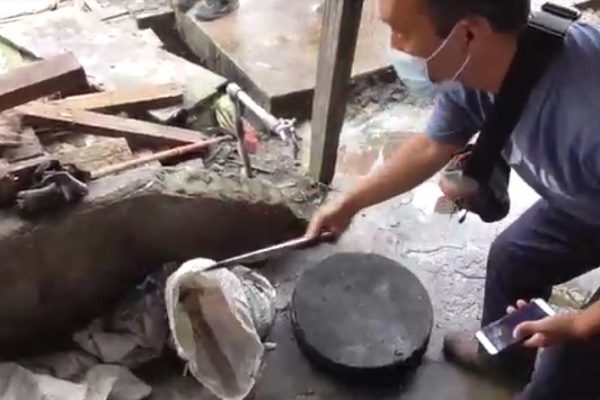 polda sumut periksa 5 saksi kasus rumah jagal kucing 30406