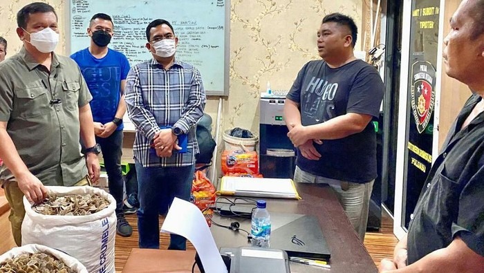 polda sumut sita 150 kg sisik trenggiling 2 pelaku ditangkap 21101