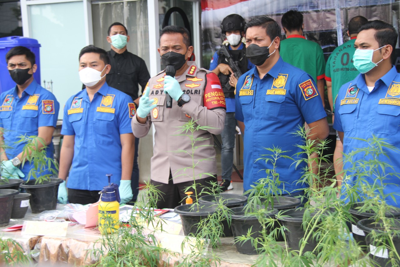 police successfully uncover hydroponic cannabis cultivation case 39267