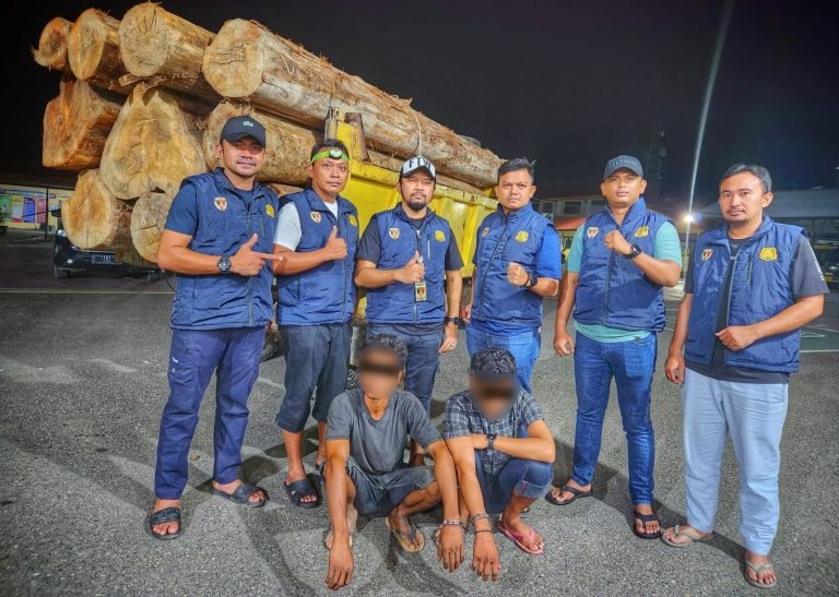 polisi amankan dua pemuda dan satu unit dump truk angkut kayu ilegal di aceh 62300
