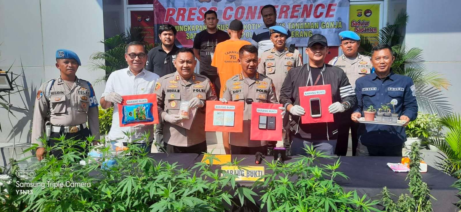 polisi amankan warga tangerang terkait tanam ganja dalam rumah 58159