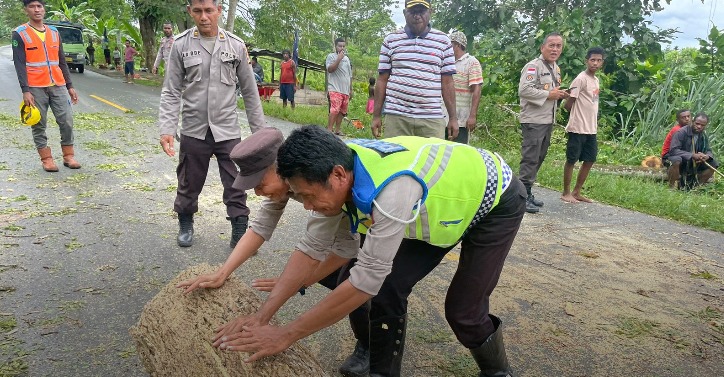 polisi bantu warga evakuasi pohon tumbang di keerom 69475
