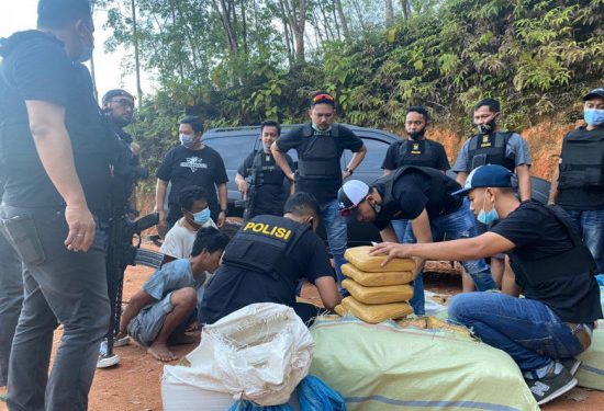 polisi berhasil gagalkan peredaran ratusan kilogram ganja lintas sumatera 15693