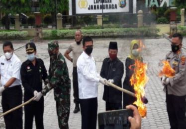 polisi bersama forkopimda langkat musnahkan 100 kg barang bukti ganja 9281