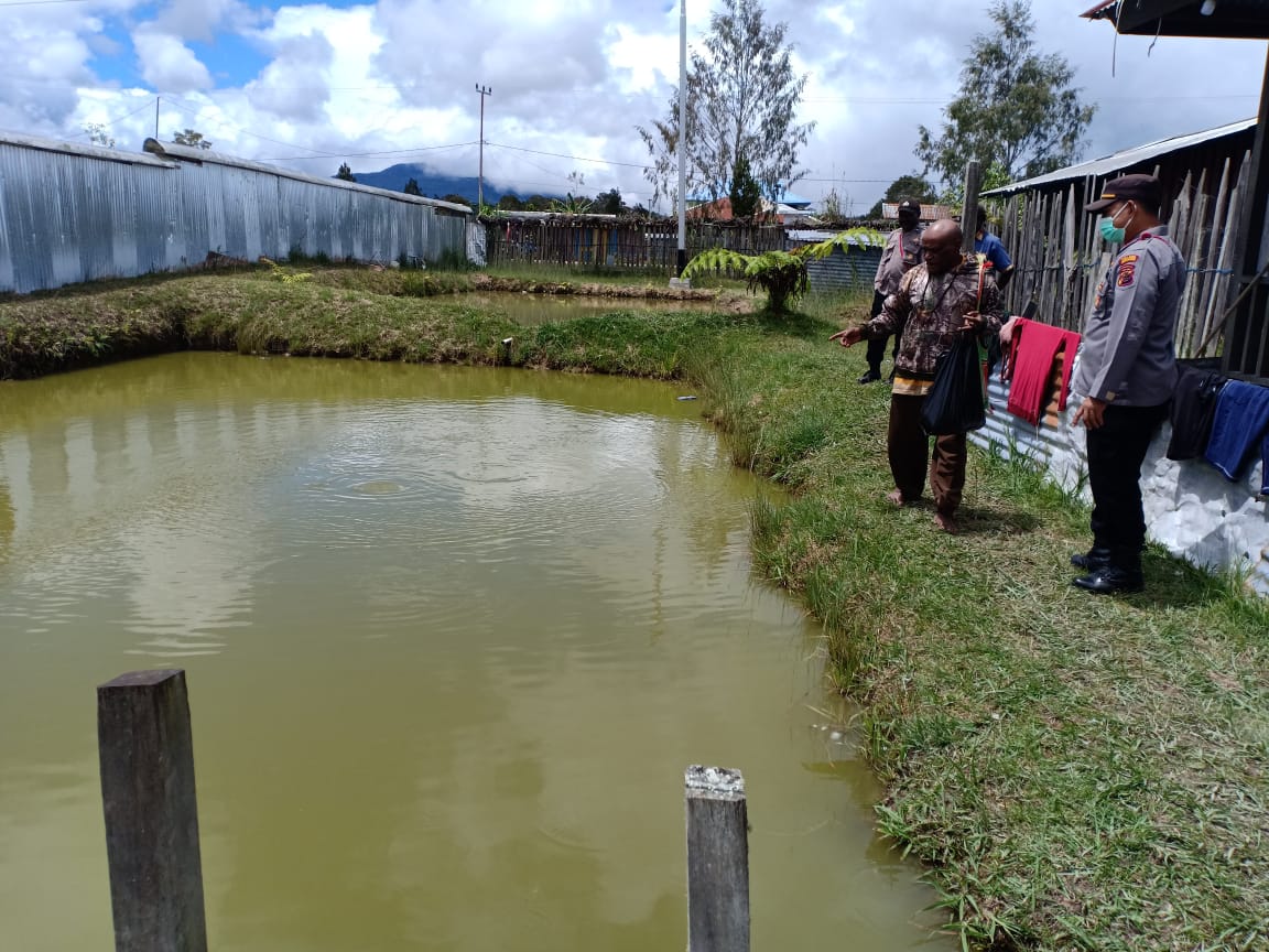 polisi binmas noken tingkatkan program kasuari dengan peternak ikan kabupaten deiyai 13360