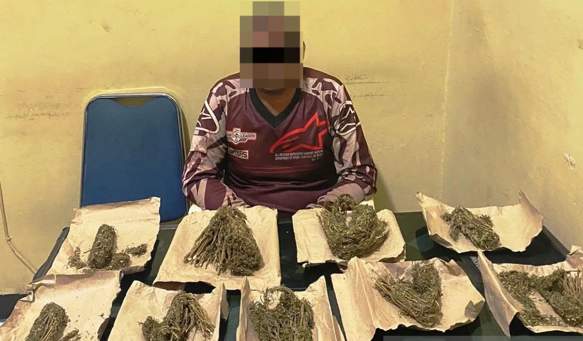 polisi sita 9 bungkus ganja dari seorang pengedar di aceh barat 61884